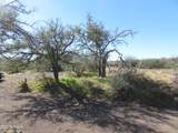 TBD Walnut Springs Road - Photo 13