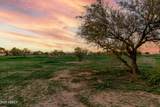 34790 Jo Blanca Road - Photo 13