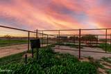34790 Jo Blanca Road - Photo 15