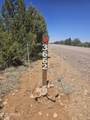3662 Sunset Ridge Loop - Photo 4
