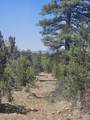 3662 Sunset Ridge Loop - Photo 6