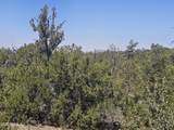 3662 Sunset Ridge Loop - Photo 8