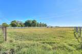 48217 Quail Run Way - Photo 32
