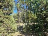 5020 Bison Trail - Photo 3