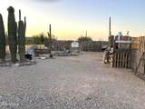 3135 Ajo Gila Bend Highway - Photo 9