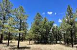 4453 Navajo Drive - Photo 2
