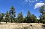 4453 Navajo Drive - Photo 5