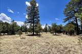 4453 Navajo Drive - Photo 6