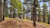 1500 Forest Service Road - Photo 15