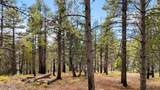 1500 Forest Service Road - Photo 16