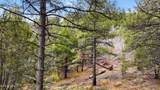 1500 Forest Service Road - Photo 17