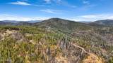 1500 Forest Service Road - Photo 2