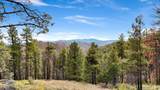 1500 Forest Service Road - Photo 20