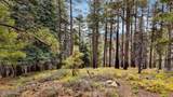 1500 Forest Service Road - Photo 22