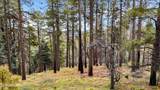 1500 Forest Service Road - Photo 23