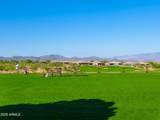 29420 Verde River Way - Photo 67