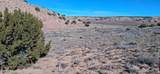 32 Acres Unnamed Road - Photo 14
