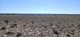 16 Acre Blackfoot Trail - Photo 14