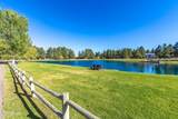 2353 Quarter Horse Trail - Photo 116