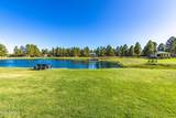 2353 Quarter Horse Trail - Photo 117