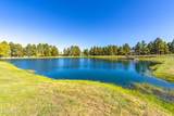 2353 Quarter Horse Trail - Photo 119