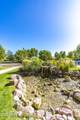 2353 Quarter Horse Trail - Photo 87