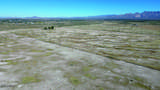 17.64 Acre Central Highway - Photo 19