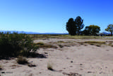 17.64 Acre Central Highway - Photo 23