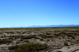17.64 Acre Central Highway - Photo 25