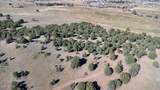 360 Barracks Road - Photo 11