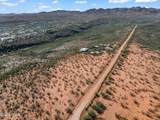 78 Camino Murphy - Photo 42
