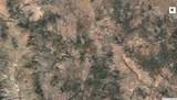 42XXX Dead Tree Road - Photo 3