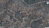 42XXX Dead Tree Road - Photo 4