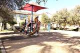 2625 Peppertree Drive - Photo 10