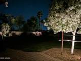 12966 Catalina Drive - Photo 45