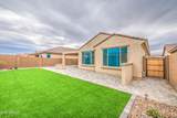 7688 Cactus Wren Way - Photo 42