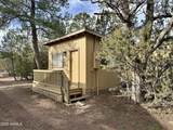 2927 Wildcat Trail - Photo 3