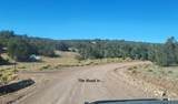 200 Acre Ranch - Photo 2