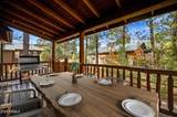 2677 Palomino Trail - Photo 9