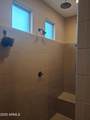 10773 Prickly Pear Trail - Photo 43