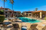 10410 Cave Creek Road - Photo 13