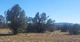 10 Acres  N. Tanner Road - Photo 10