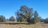 10 Acres  N. Tanner Road - Photo 3
