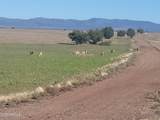 10 Acres  N. Tanner Road - Photo 9