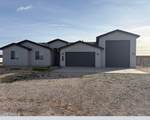 20273 Wolf Street - Photo 1
