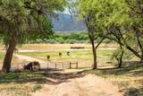 707 Quarterhorse Lane - Photo 35
