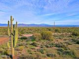 1.7 acres 144 Street - Photo 11