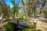 3155 Red Rock Loop #3 Road - Photo 11