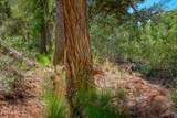 3155 Red Rock Loop #4 Road - Photo 21