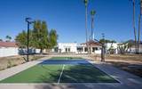 10111 Cholla Street - Photo 42